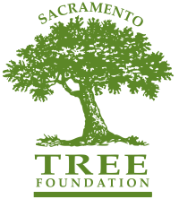 Sacramento Tree Foundation logo with a green tree in the center.